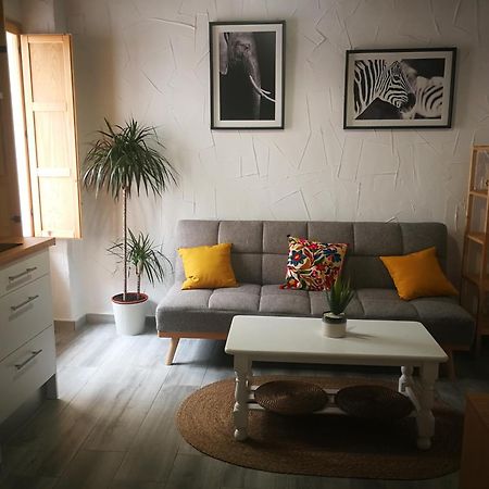 Apartamento La Zarzamora-Patio Privado Lägenhet Jerez de la Frontera Exteriör bild